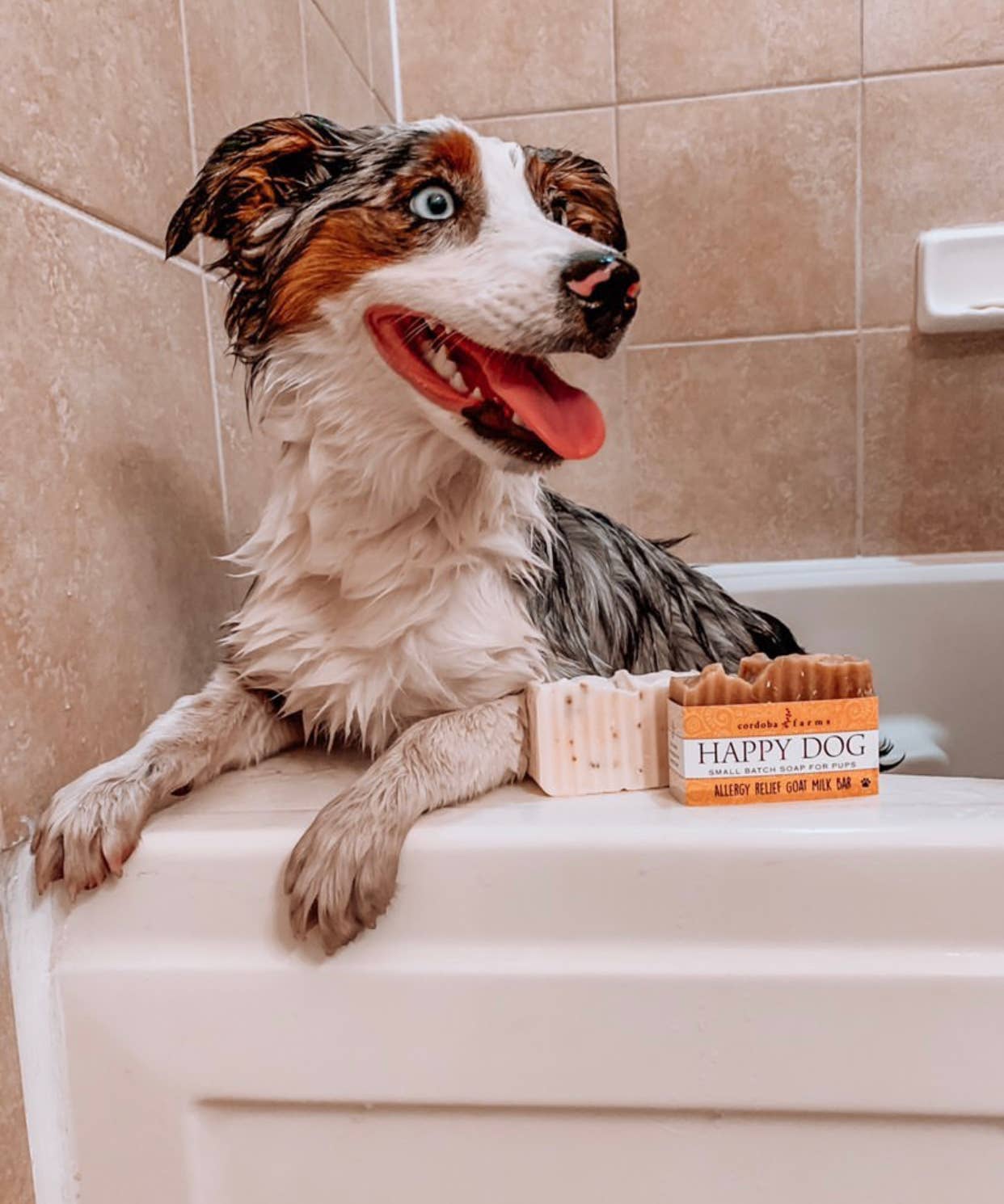 Happy Dog - Allergy Relief Goat Milk Bar: No bag